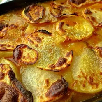 Gratin de poulet, champignons et pommes de terre