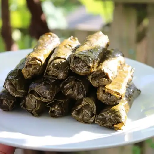 Feuilles de vigne farcies aux herbes